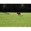 titisee029