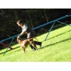 titisee034