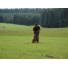 titisee048
