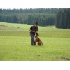 titisee049