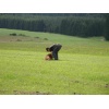titisee052
