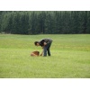 titisee053