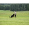 titisee057