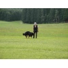titisee058