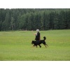 titisee061